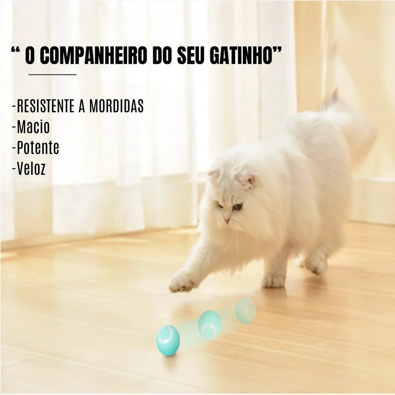 Bola Magica para gato