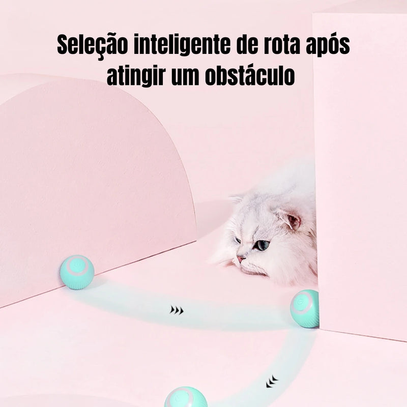 Bola Magica para gato